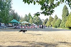 LAURELHURST BACKYARD BBQ 2018